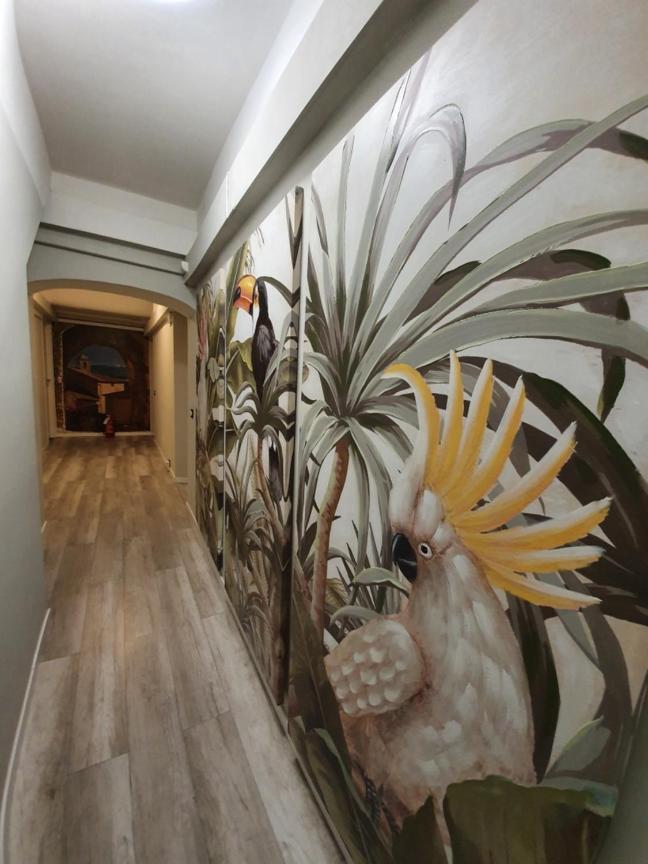 Domus Fieschi Rooms جنوة المظهر الخارجي الصورة